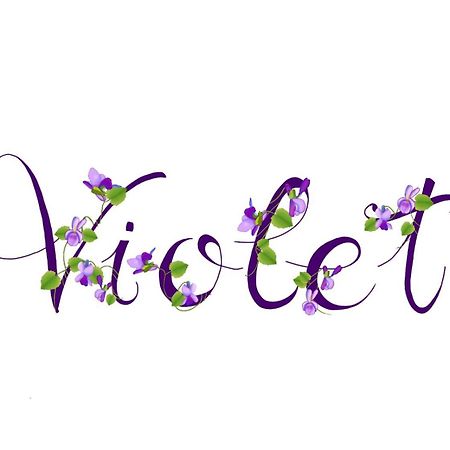 Appartamento Violet - פארמה מראה חיצוני תמונה