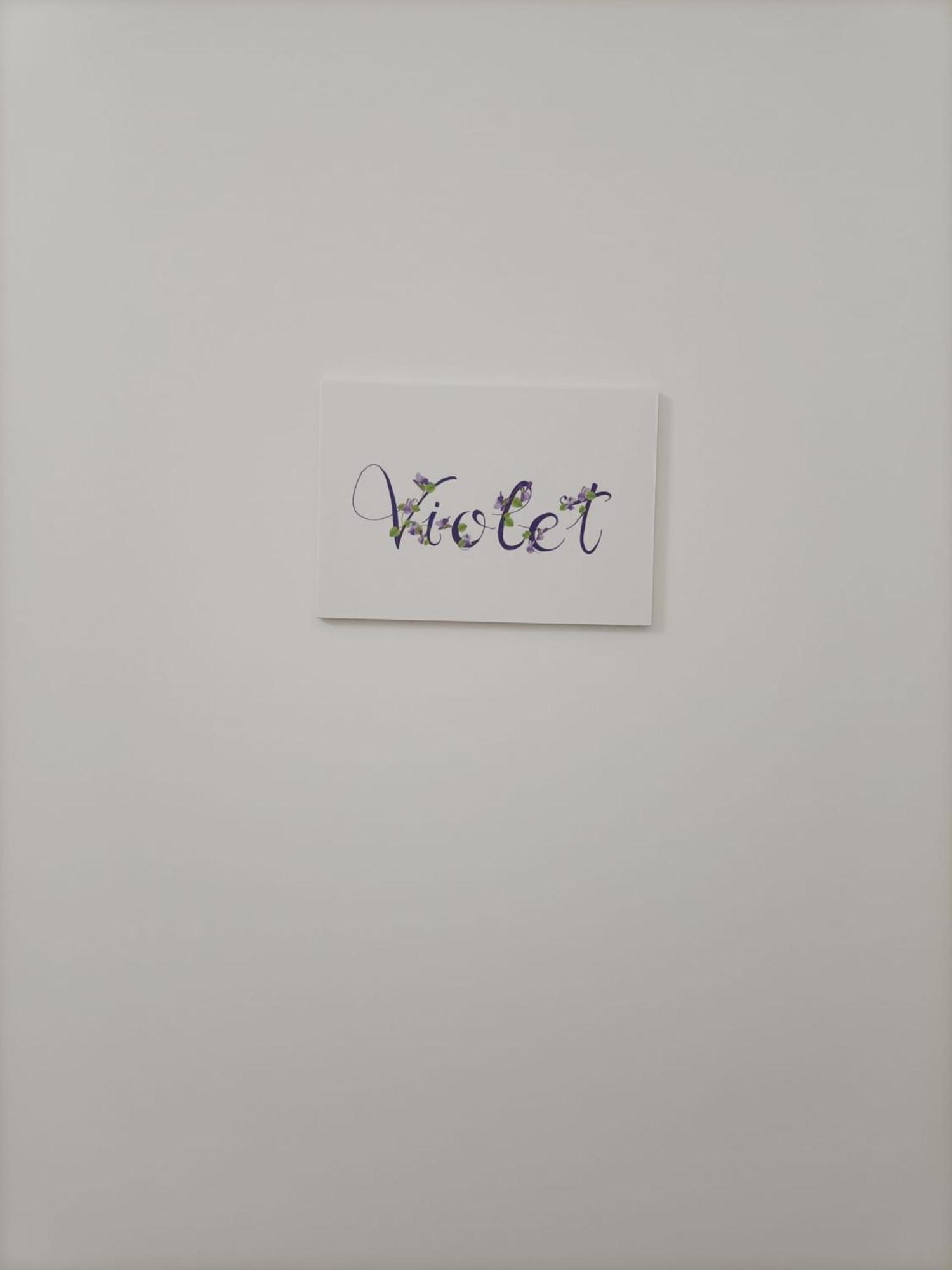 Appartamento Violet - פארמה מראה חיצוני תמונה